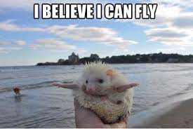 I Believe I Can Fly Picture Quotes