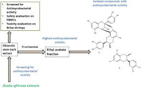 Image result for Zanha africana