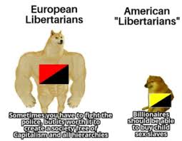 Libertarian meme content that specializes in memes and big name libertarian celebrity interviews. Diasporabr