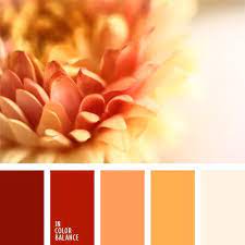 Color Gamboge Color Ladrillo Color Naranja Quemado Color Pelirrojo Zanahoria Co Krasnaya Cvetovaya Palitra Oranzhevaya Cvetovaya Palitra Teplye Cvetovye Palitry