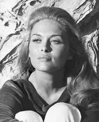 Who Remembers this 60's movie star? Who Remembers a Favorite Faye Dunaway  movie?
