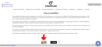 There are two stages of cash app verification that allows you to maximize the application to the fullest. Active Cash Flag Https Www Cash Flag Com Grant Applications Aeforum