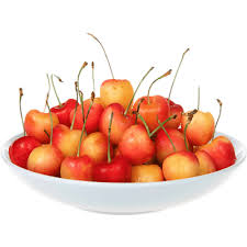 نهال گیلاس فرنگی