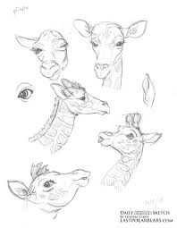 Daily Animal Sketch Giraffe And Fennec Fox Last Of The Polar Bears Animal Drawings Sketches Animal Sketches Animal Drawings