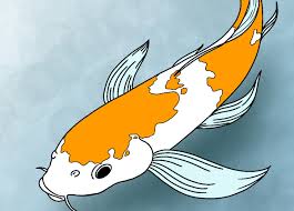 See outline drawing of fish stock video clips. How To Draw Koi Fish Draw Central
