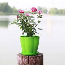 Maybe you would like to learn more about one of these? Pot Bunga Mini Baki Vas Bunga Tawon Pot Bunga Kosong Tanaman Hias Dekorasi Rumah Terbaru Agustus 2021 Harga Murah Kualitas Terjamin Blibli