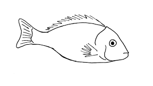 Line Drawing Of A Fish Fish Sketch Fish Drawings Drawings