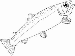 We have collected 36+ salmon coloring page images of various designs for you to color. Coloring Salmon Picture