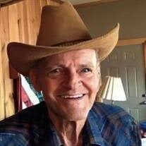 Louie Leslie Libke Obituary