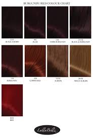 Burgundy Red Hair Color Chart Hair Color Ideas And Styles