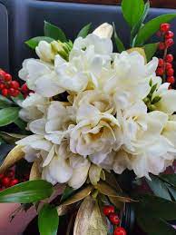 Freesia Flower Farm Bloom Freesia