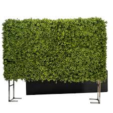 Group buy cheap custom tall hedge in bulk here at dhgate.com. 42 Tall Hedge Planter Combo Atlas Pots