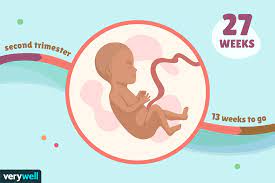 Nov 11, 2020 · 27 weeks: 27 Weeks Pregnant Baby Development Symptoms And More