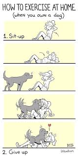 How To Exercise With A Dog Dog Love Funny Animals Dogs