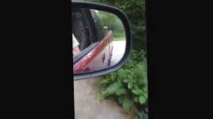 Thank you for purchasing the edge juice module for the dodge cummins. Edge Juice W Attitude Level 6 Hot Unlock Youtube