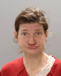 SARAH PLASTER Aiken County authorities have announced the arrest of Sarah  Plaster with these listed charges. https://augustacrime.com/sarah-plaster-7/