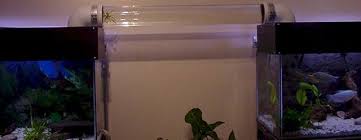 Bio Elite Aquarium Water Bridge Aquarium Aquarium Fish Tank Diy Fish Tank