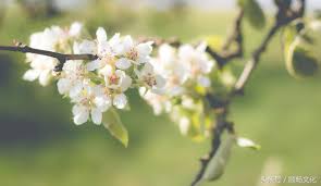 语法 英语 english usage grammar patterns 法语 德语 意大利语 西班牙语 hindi. æ¸…æ˜Žç¯€è‹±æ–‡æ€Žéº¼èªª Qingming Festivalæ²'æ¯›ç—… æ¯æ—¥é ­æ¢