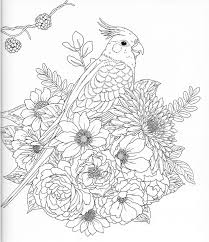 This image courtesy of favecrafts.com. Pin On Color Pages Stencils Templates Patterns