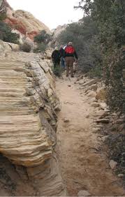 Image result for Canyon Red 1990 Tracer