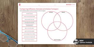 Click the buttons to print each worksheet and associated answer key. Comparing Diffusion Osmosis And Active Transport Beyond