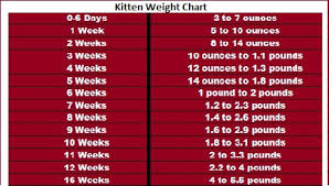 Weight Gain In Newborn How Quickly A Child Should Gain