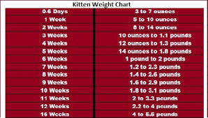 weight gain in newborn how quickly a child should gain