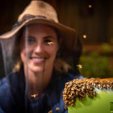 Bee-coming an Entrepreneur: A Behind-the-Scenes Look