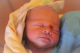 Najmłodsi stela 163/786/2019