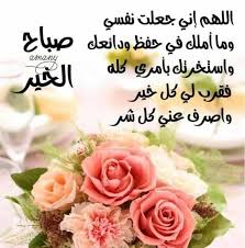 Instagram video by Ali Slimi VéTo • May 24, 2024 at 4:35 PM