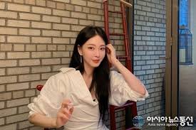 유튜버·악플러 고소' 한예슬, 고소인 조사 완료