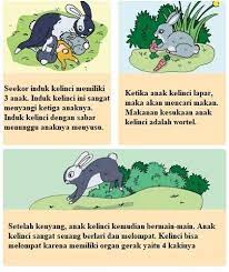 Contoh narrative text legend populer di indonesia englishcoo. Contoh Teks Dan Gambar Ilustrasi Kucing Contoh Gambar Ilustrasi Hewan Peliharaan Teks Deskripsi Pengertian Je Ilustrasi Kucing Ilustrasi Hewan Ilustrasi