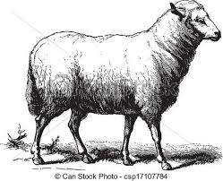 Black And White Sheep Drawing Image Result For French Vintage Sheep Drawings Sheep Illustration Clip Art Vintage Illustration