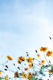 Miscarriage tattoo different types of flowers. What To Say To Someone Who Experienced A Miscarriage