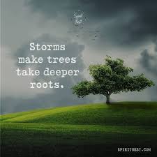  Storms Make Trees Take Deeper Roots Spiritnest Witchesnest Tree Grass Mountain Roots Storm Sky Darksky Cl Life Quotes Deep Roots Quotes Cloud Quotes