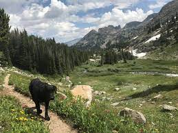 Maybe you would like to learn more about one of these? Trail Profile The Beaten Path 26 Miles Of Montana Wilderness The Trek