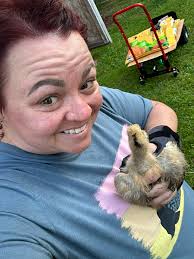 Chicken co-op relocation to new home