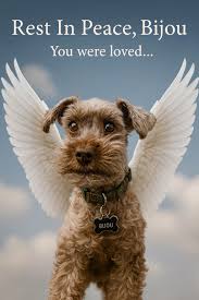 Them If you don't have have kids then who's going to take care of you you  when you're older? older? Me: @linkthesausage_