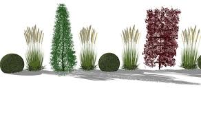 Sichtschutzkombinationen Vorgarten Bepflanzen Zen Garten Vorgarten Anlegen