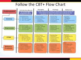 common components of evidence base practices