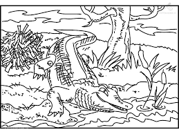 Includes images of baby animals, flowers, rain showers, and more. Crocodile Pictures To Print Coloring Home