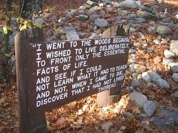  Stay Hungry Stay Foolish Earth Day Quotes Life Facts Heart Warming Quotes