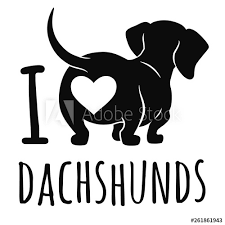 Black And White Dachshund Pictures Cute Dachshund Dog Vector Illustration Funny Dachshund Pictures Dachshund Puppies Dachshund Dog