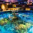 New England Aquarium