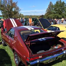 Image result for Calcutta Russet 1968 Javelin