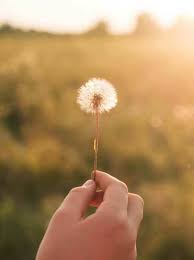 Image result for tbn:EYMJ1HdemBb2HM::www.sunna.info/souwar/data/media/7/www_sunna-info-221.JPG