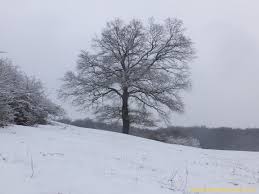 24,046) within stockholm urban area, and the seat of järfälla municipality, stockholm county in sweden. Jakobsberg Wanderermartin