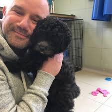 New farm foreman is inspecting the equipment. Ready to ride the tractor and  put in a full day's work!" #DachshundPuppy #MerleDachshund #FarmDog  #WeenieDog #TractorDog #PuppyLife #Doxie #CutePuppy #CountryDog  #FutureFarmer