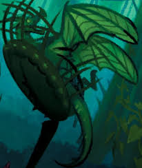 Image result for Aldrovanda