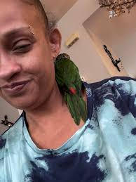 My little comes home in 10days!!!! Cage all set ♡♡♡♡